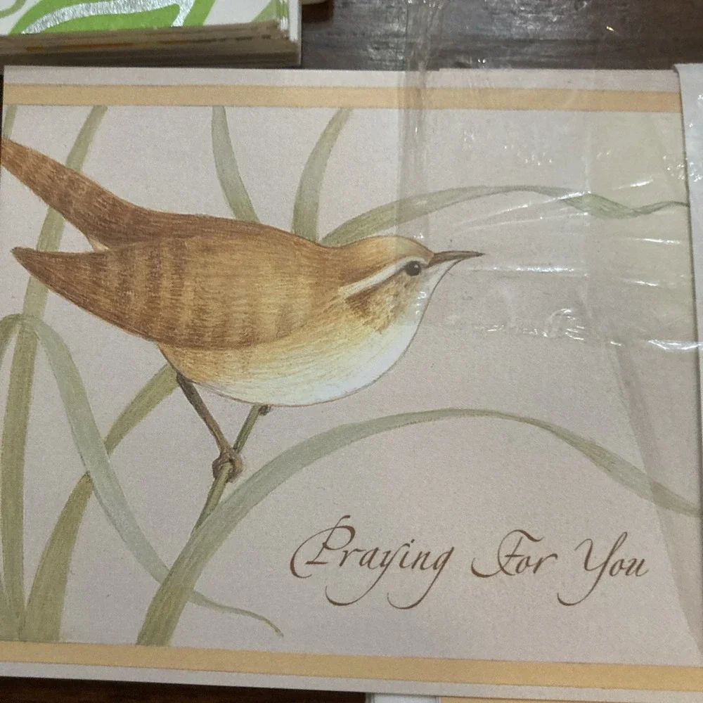 Mixed Lot of Note Cards Hallmark, Dayspring, Joyfully Yours